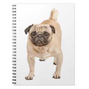 Kärlek Puppy-Hund bärbar dator/Journal Anteckningsbok Med Spiral