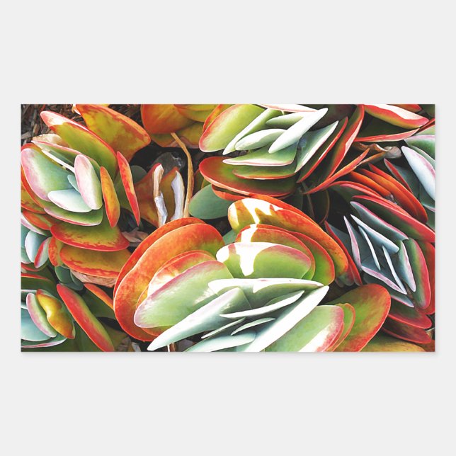 Kärlek_ Rektangulärt Klistermärke (Framsida)