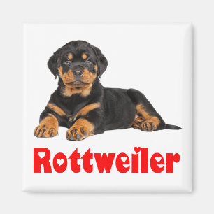 Kärlek Rottweiler Brown & Black Puppy Hund Tecknad Magnet