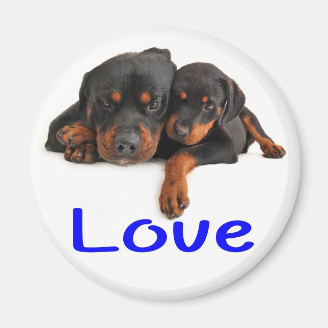 Kärlek Rottweiler Brun & Svart Valp Hund Magnet (Framsidan)