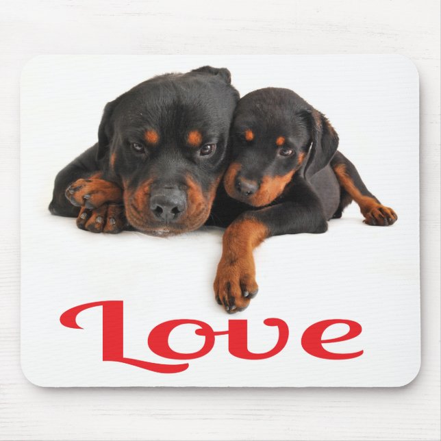 Kärlek Rottweiler Valp Hund Vit Musmatta (Framsidan)