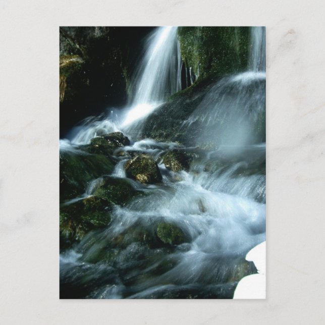 KÄRLEK SÅNG VYKORT (Framsida)