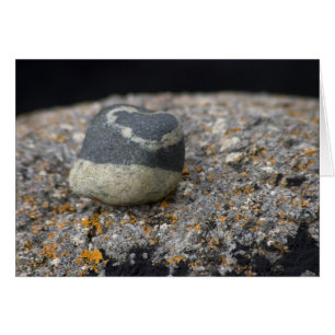 Kärlek satte sig i Stone. Kort efter cARTerART