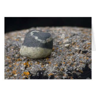 Kärlek satte sig i Stone. Kort efter cARTerART