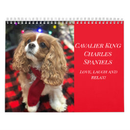Kärlek, skratt & avkoppling Cavalier King Charles Kalender