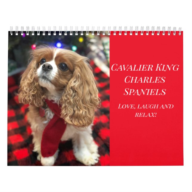 Kärlek, skratt & avkoppling Cavalier King Charles  Kalender (Omslag)