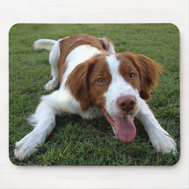 Kärlek, spanska Puppy Hund Mousepad Musmatta (Framsidan)