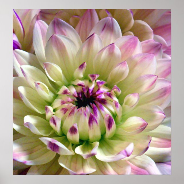 Kärlek Spreading_Poster Poster (Framsidan)