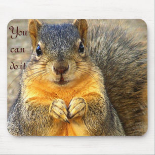 Kärlek Squirrel_ Musmatta