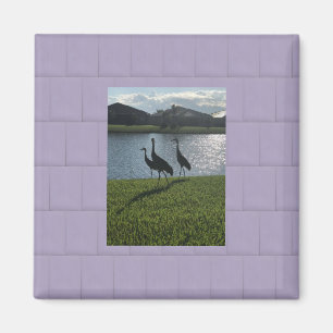 Kärlek Storks Magnet