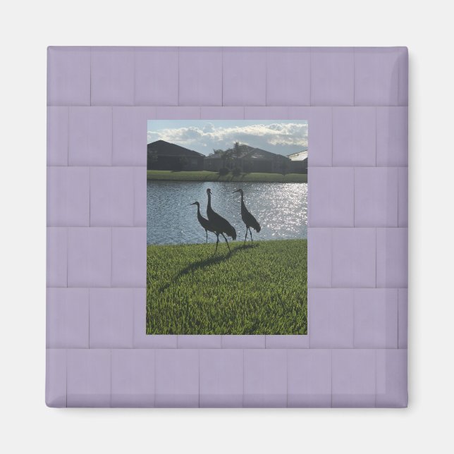 Kärlek Storks Magnet (Framsidan)