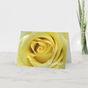 Kärlek tema med Gul ros Petals på nära håll Kort