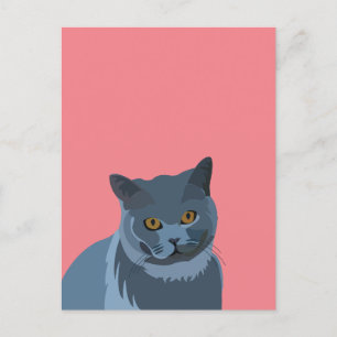 Kärlek till blågrå katt vykort
