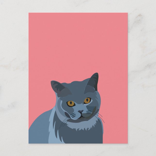 Kärlek till blågrå katt vykort (Framsida)