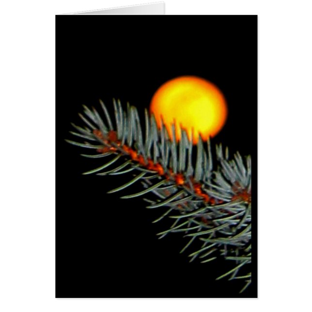 Kärlek till Måne och tillbaka! Hälsningskort (Framsidan)