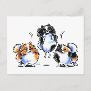Kärlek till Parti Pomeranians Vykort