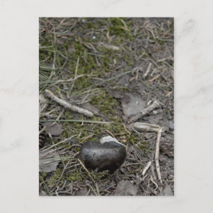 kärlek till sin natur vykort