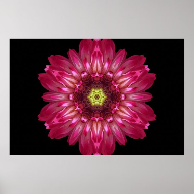 Kärlek tillåter Poster av blommor i Mandala (Framsidan)