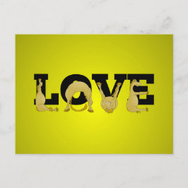 KÄRLEK tillverkad av en mycket flexibel ponny Vykort