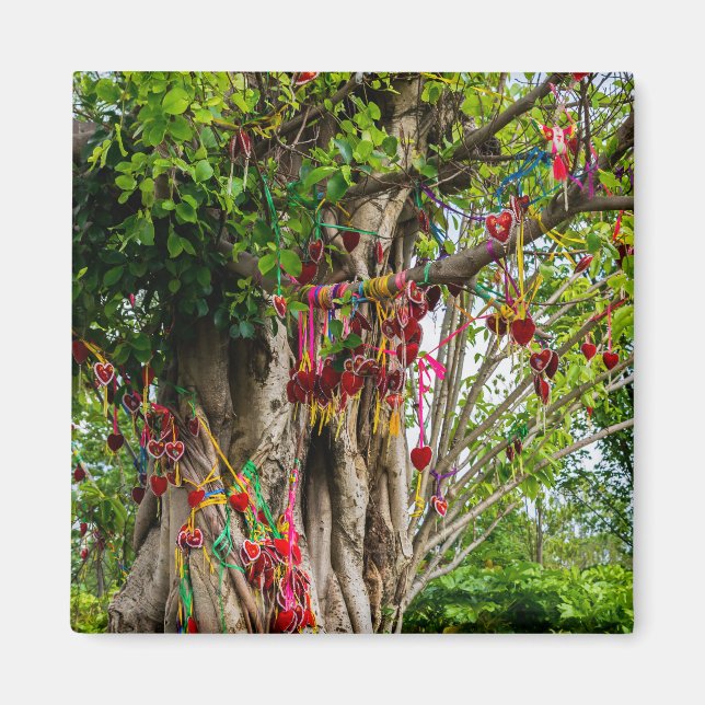Kärlek träd, Zhonghe-Yunnan, China Magnet (Framsidan)