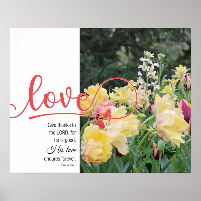 Kärlek Tulip-fotografi Psalm 136:1 Poster (Framsidan)