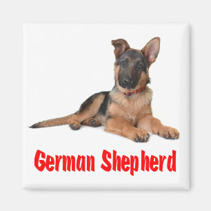Kärlek tysk schepherd Puppy Hund Fridge Magnet