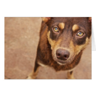 Kärlek utseende hälsningskort