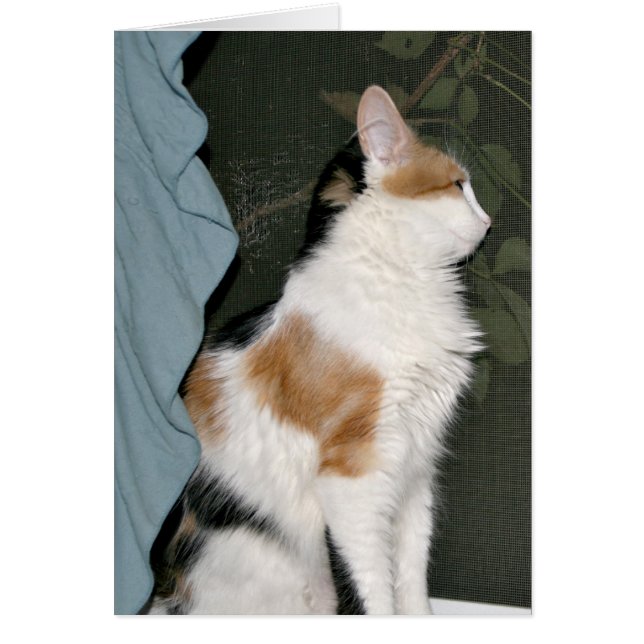 Kärlek väntar hälsningskort (Framsidan)