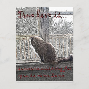 kärlek väntar vykort