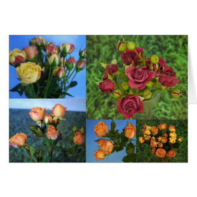 Kärlek vardagskort hälsningskort (Framsidan Horizontal)