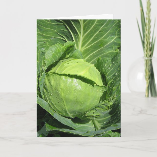 Kärlek Veggies-hälsningskort Kort (Framsida)