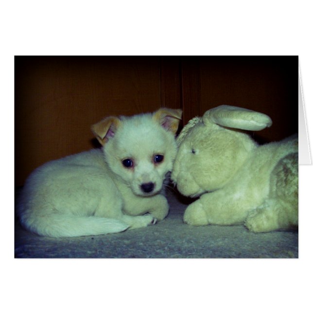 Kärlek vid första anblicken hälsningskort (Framsidan Horizontal)