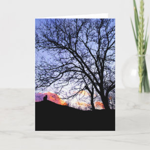 "Kärlek vid solnedgång" Förlust av ett katthympati Kort