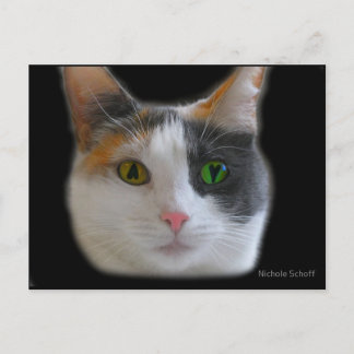 Kärlek vid vykort för första synen