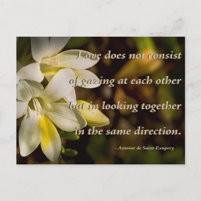 Kärlek... Vykort (Framsida)