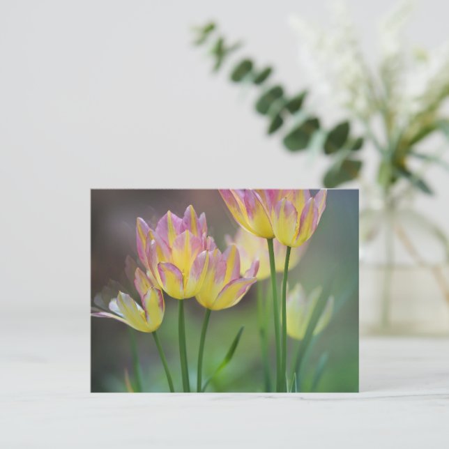 Kärlek Vykort (Stående Fram)