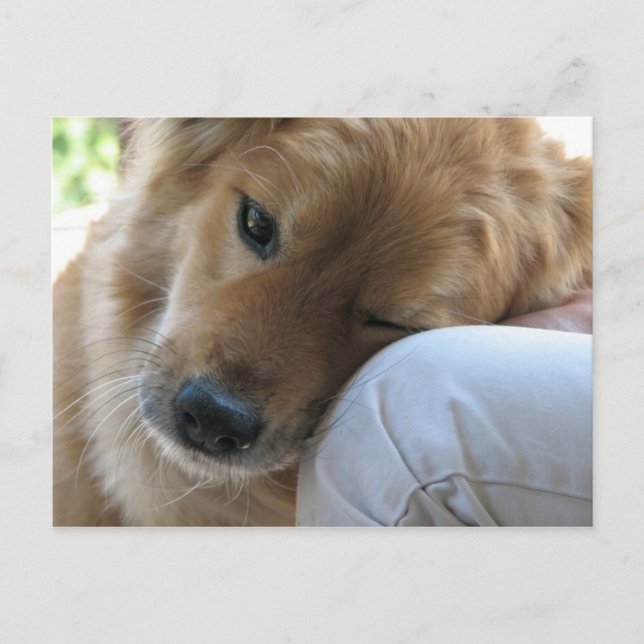 Kärlek Vykort (Framsida)