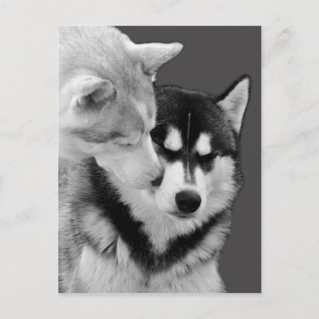 kärlek vykort (Framsida)