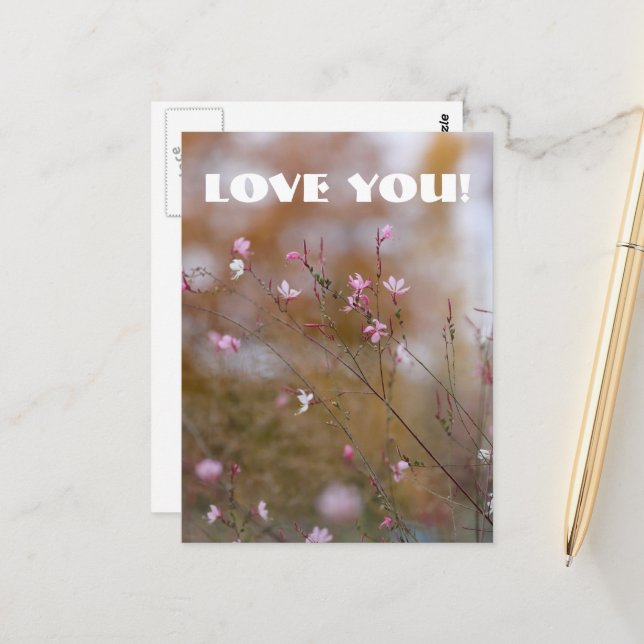 Kärlek vykort (Fram/Back In Situ)