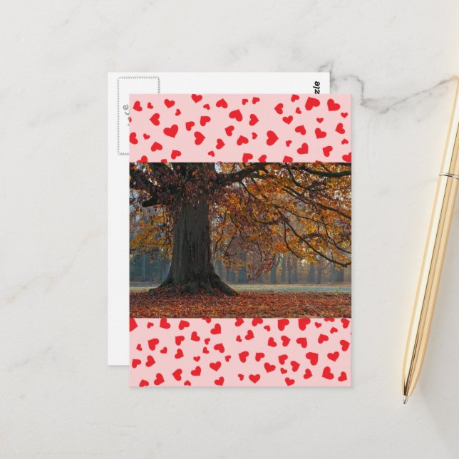 Kärlek vykort (Fram/Back In Situ)