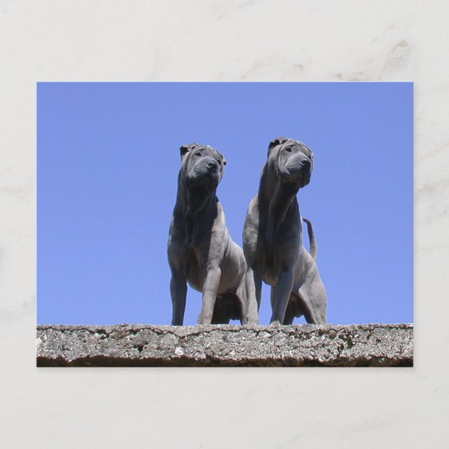 Kärlek... Vykort (Framsida)