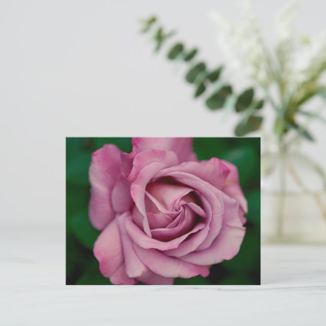 Kärlek Vykort (Stående Fram)