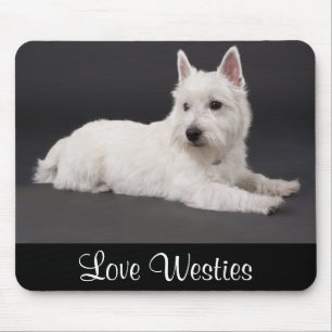 Kärlek Westies Väster Highland Terrier Puppy Mou Musmatta