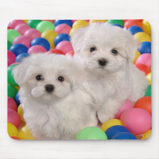 Kärlek White Bichon Frise Puppy Hund Mousepad Musmatta (Framsidan)