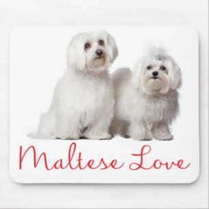 Kärlek White Maltese Puppy Hund Mouse Pad Musmatta