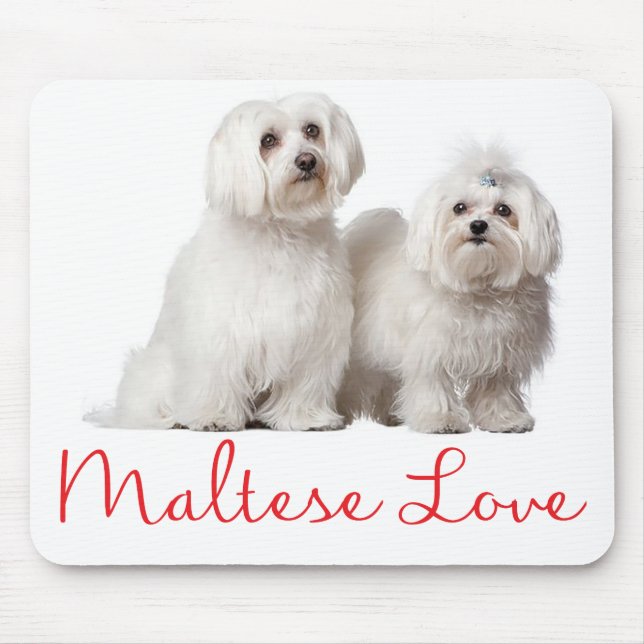 Kärlek White Maltese Puppy Hund Mouse Pad Musmatta (Framsidan)