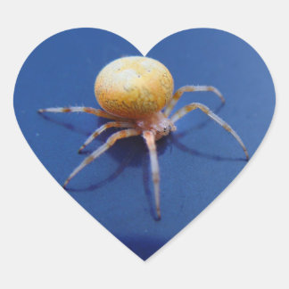 Kärlek Wildlife Stickers - Orange Orb Spinner Spid Hjärtformat Klistermärke