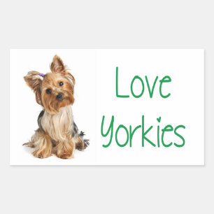 Kärlek Yorkies Yorkshire Terrier Puppy Hund Sticke Rektangulärt Klistermärke