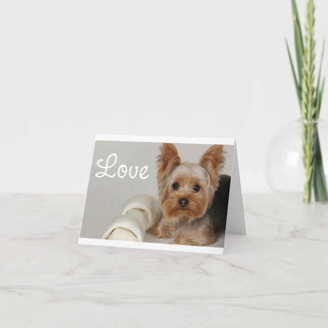 Kärlek Yorkshire Terrier Puppy Hund Blank Card Kort (Framsida)