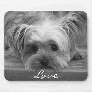 Kärlek Yorkshire Terrier Puppy Hund Mousepad Musmatta